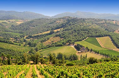 toscane bos