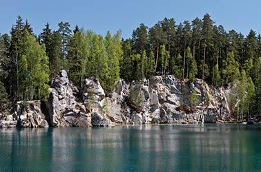 tsjechie bos
